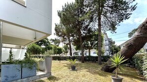 A courtyard with a grassy area, potted plants, and a large tree.