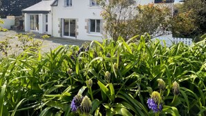 Uklassifisert bilde, 3 av 26, knapp