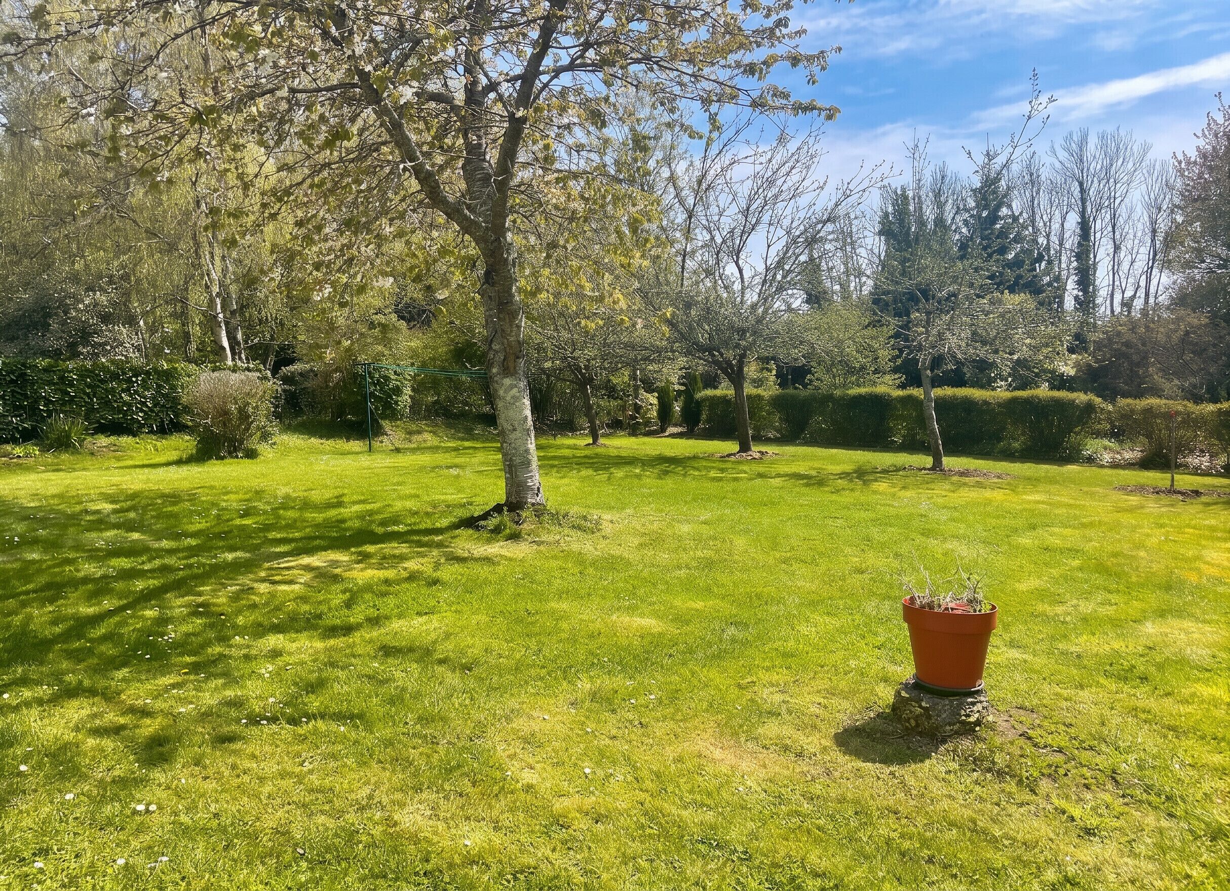 A well-maintained grassy area with trees and a potted plant.