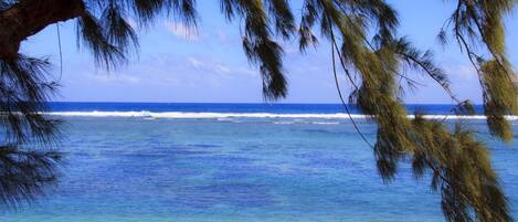 On the beach, sun-loungers, beach towels