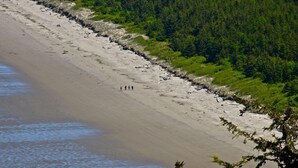 Une plage bordée d’une zone boisée où quelques personnes se promènent.