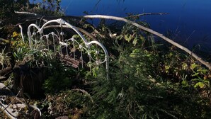 Une vue paisible sur un lac, avec un ciel dégagé, entourée d’une végétation luxuriante et d’une structure métallique.