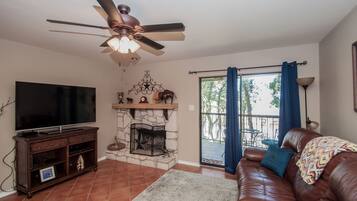 Smart TV, fireplace, books