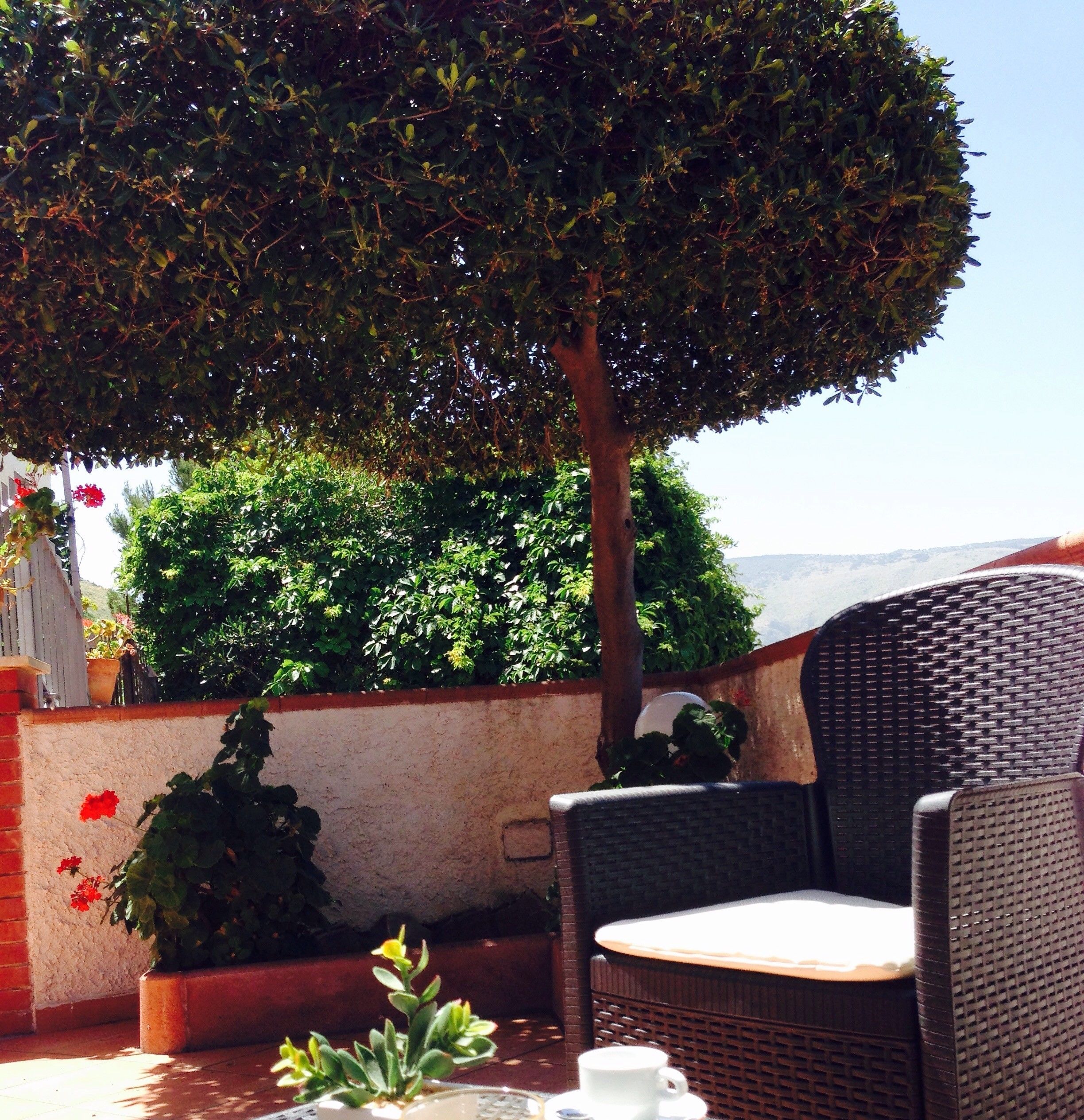 An outdoor seating area with wicker furniture, a potted plant, and a view of the landscape.