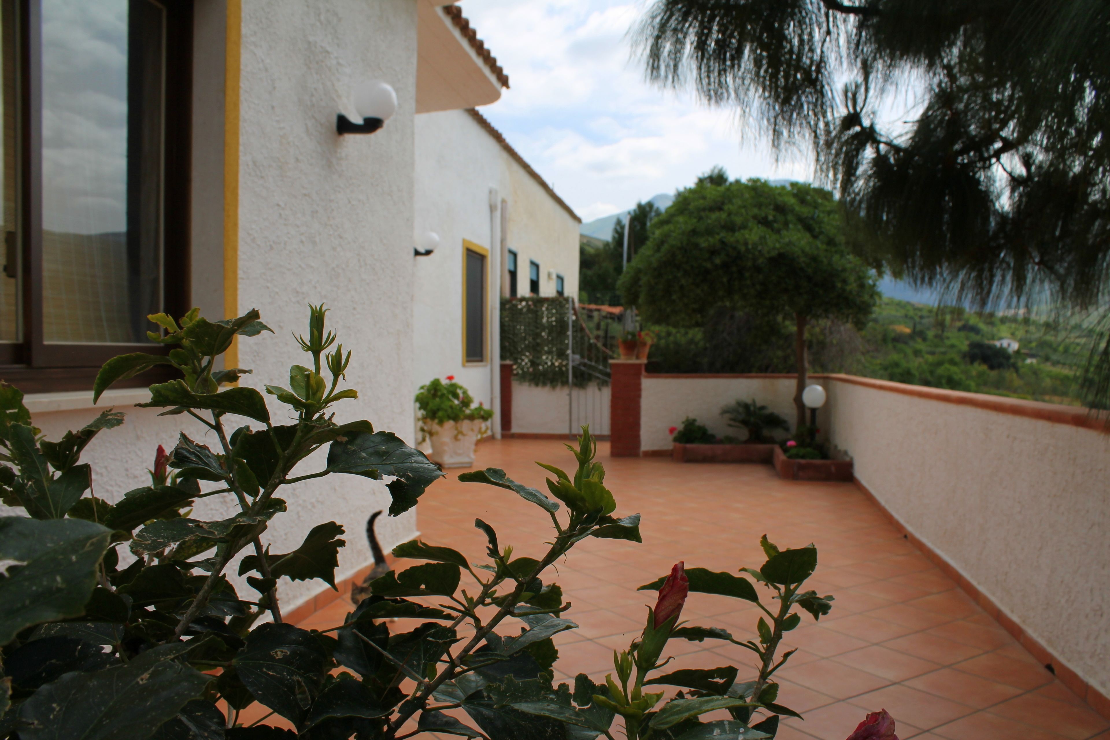 A balcony with potted plants, a white building with a window, and a view of greenery.