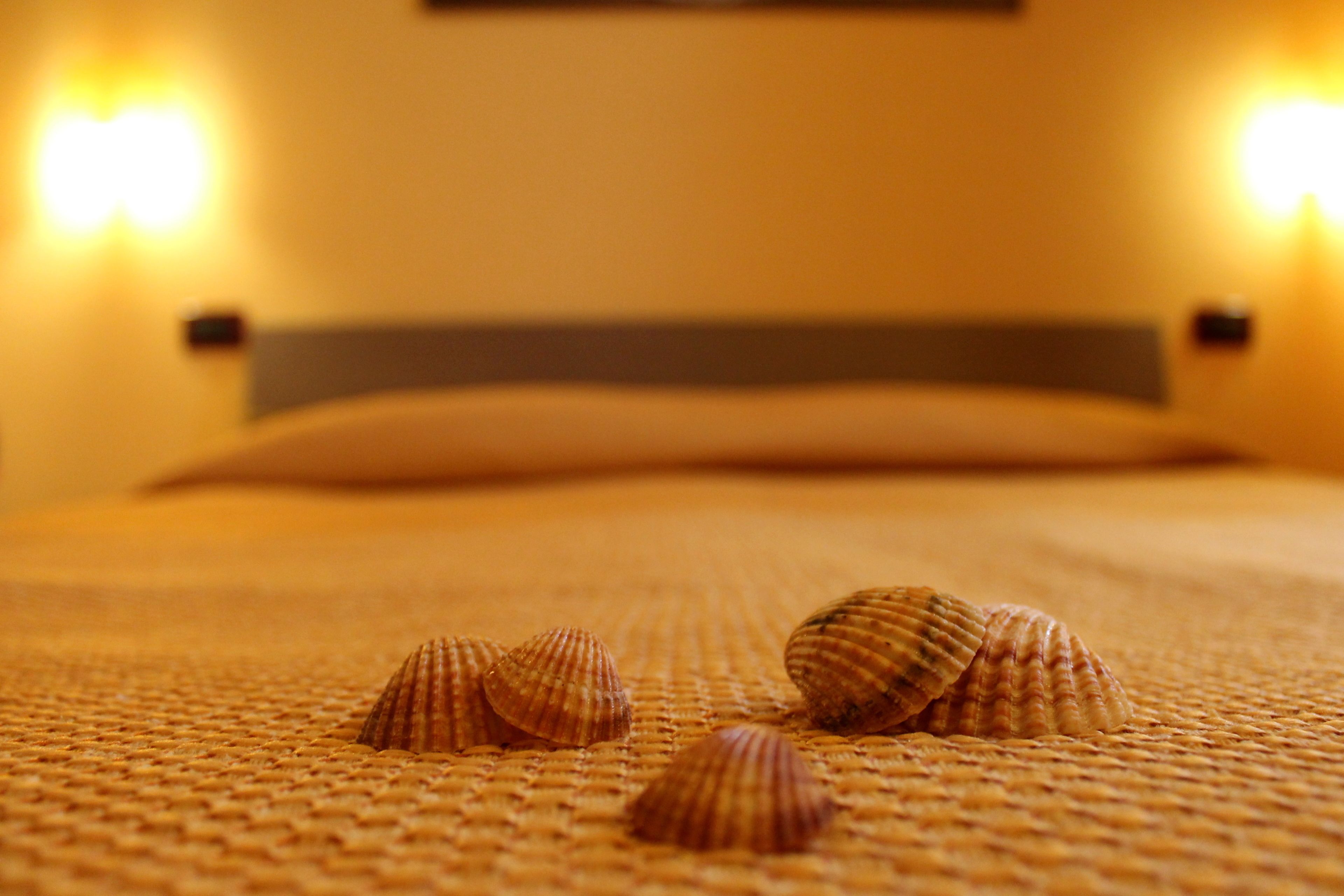 Una cama con una cubierta beige texturizada y tres conchas marinas.