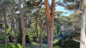 A lush garden with tall trees and a white building with balconies.