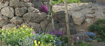 Ferienwohnung mit Bergblick, 55 qm Obergeschoss, 1 separates Schlafzimmer