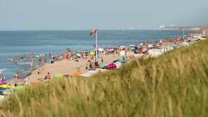 Une plage bordée de rangées de parasols et de tentes, une étendue de sable et la mer en arrière-plan.