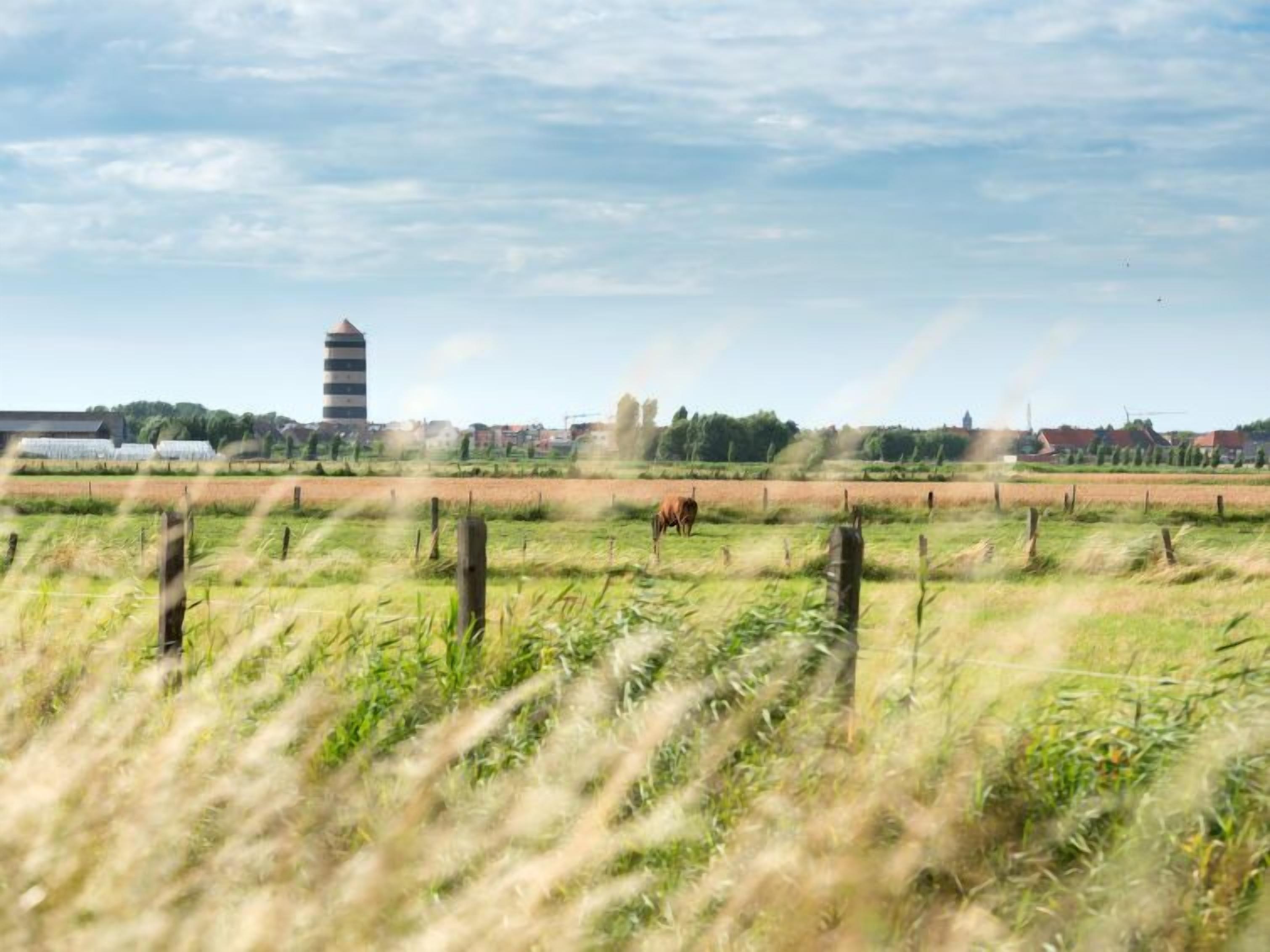 A rural landscape with a field, a horse, and a tower in the background.
