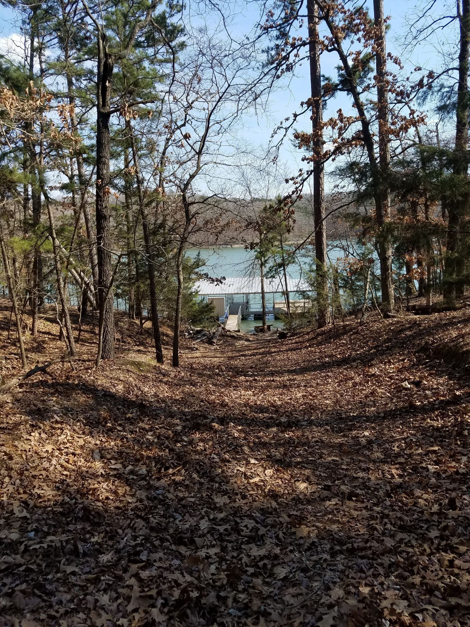 Ein bewaldetes Gebiet mit einer Holzanlegestelle, die zu einem Haus am See führt.