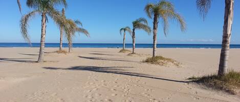 Ubicación cercana a la playa y tumbonas