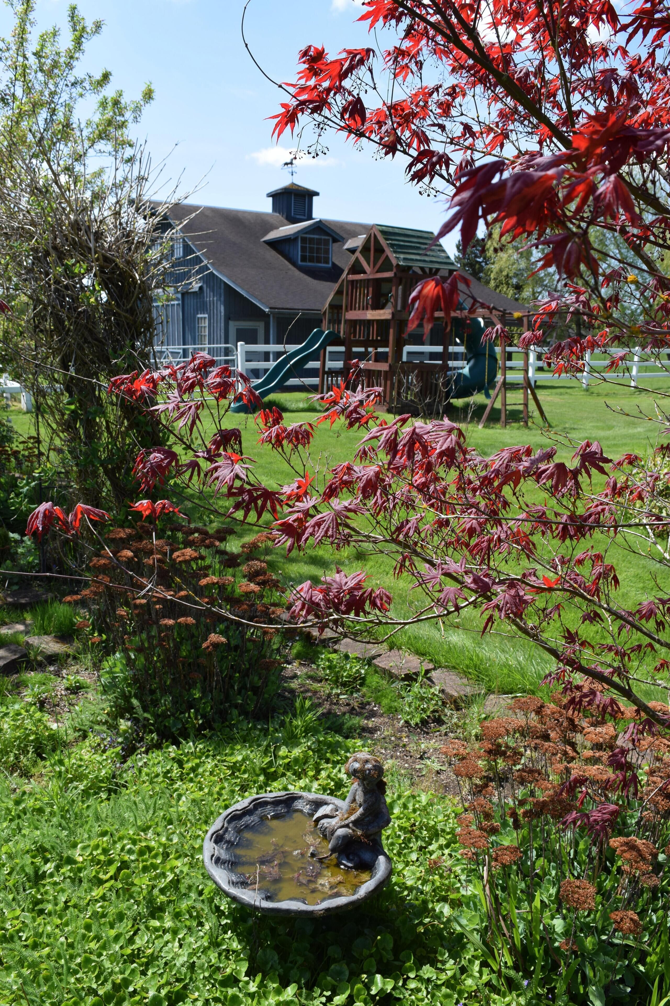 Enceinte de l’hébergement