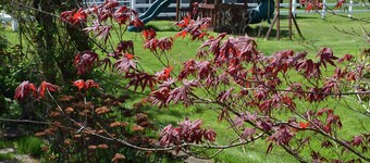 Peaceful Country Retreat Near PDX and ILANI