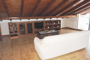 Fernseher