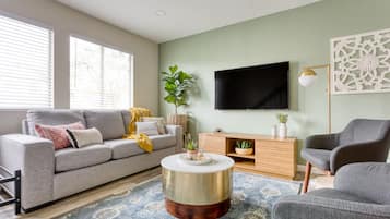 TV, Netflix, streaming services, video library