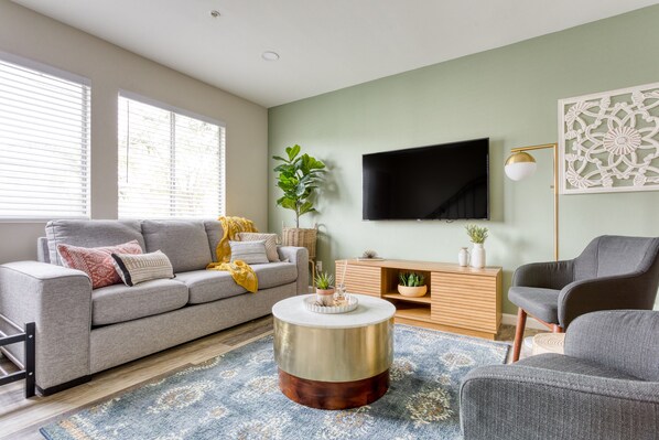 TV, Netflix, streaming services, video library