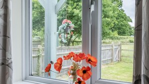 A window with a clear view of a garden and a wooden structure.