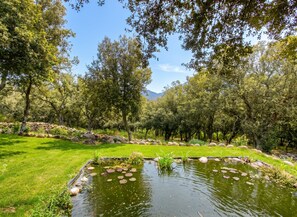 Un jardí tranquil amb un estany, vegetació exuberant i un camí de pedra.
