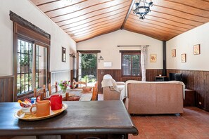 TV, fireplace - Fantastic Country Home "Villa Lina" with Large Pool, Terrace, Garden & Wi-Fi (Chiclana de la Frontera)