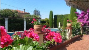 Zona junto a la piscina con techo de paja, plantas en macetas y cielo azul brillante.