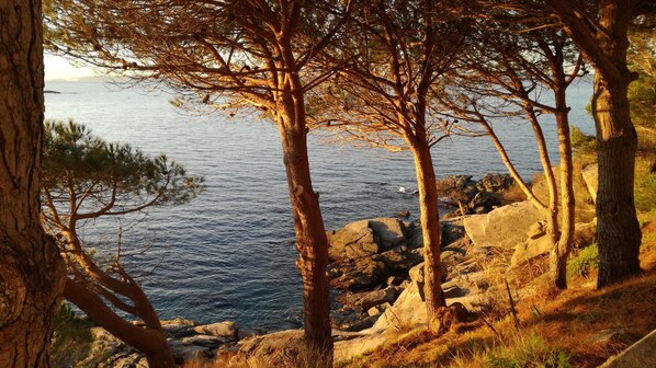 Playa