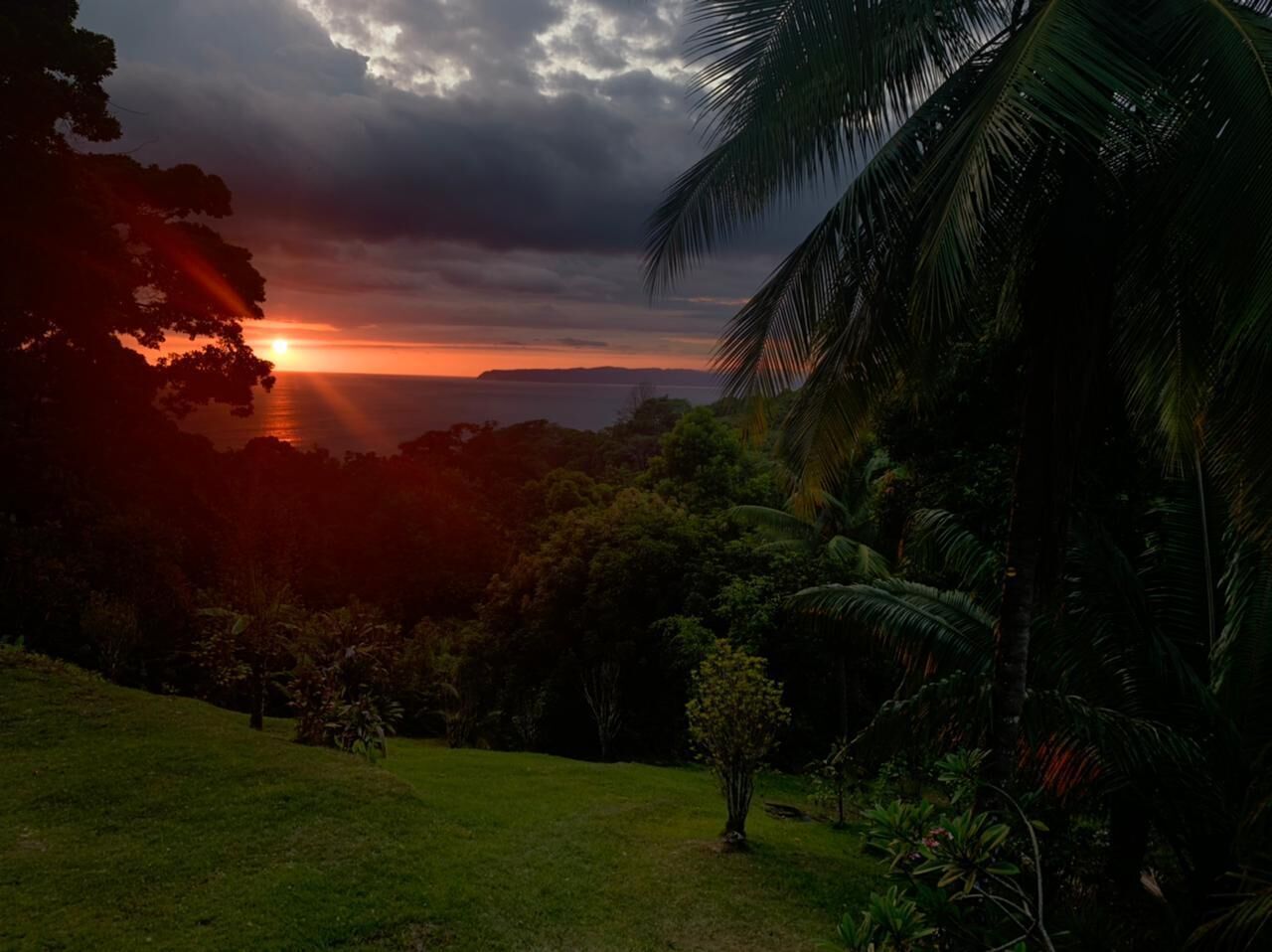 Üppige Landschaft mit Sonnenuntergang über einem Gewässer, umgeben von dichter Vegetation und Palmen.