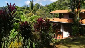 A house surrounded by lush tropical vegetation, including banana trees and red-leafed plants.