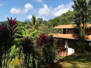 Exterior - Lodge in tropical forest, breathtaking view of the Pacific (Pavones)