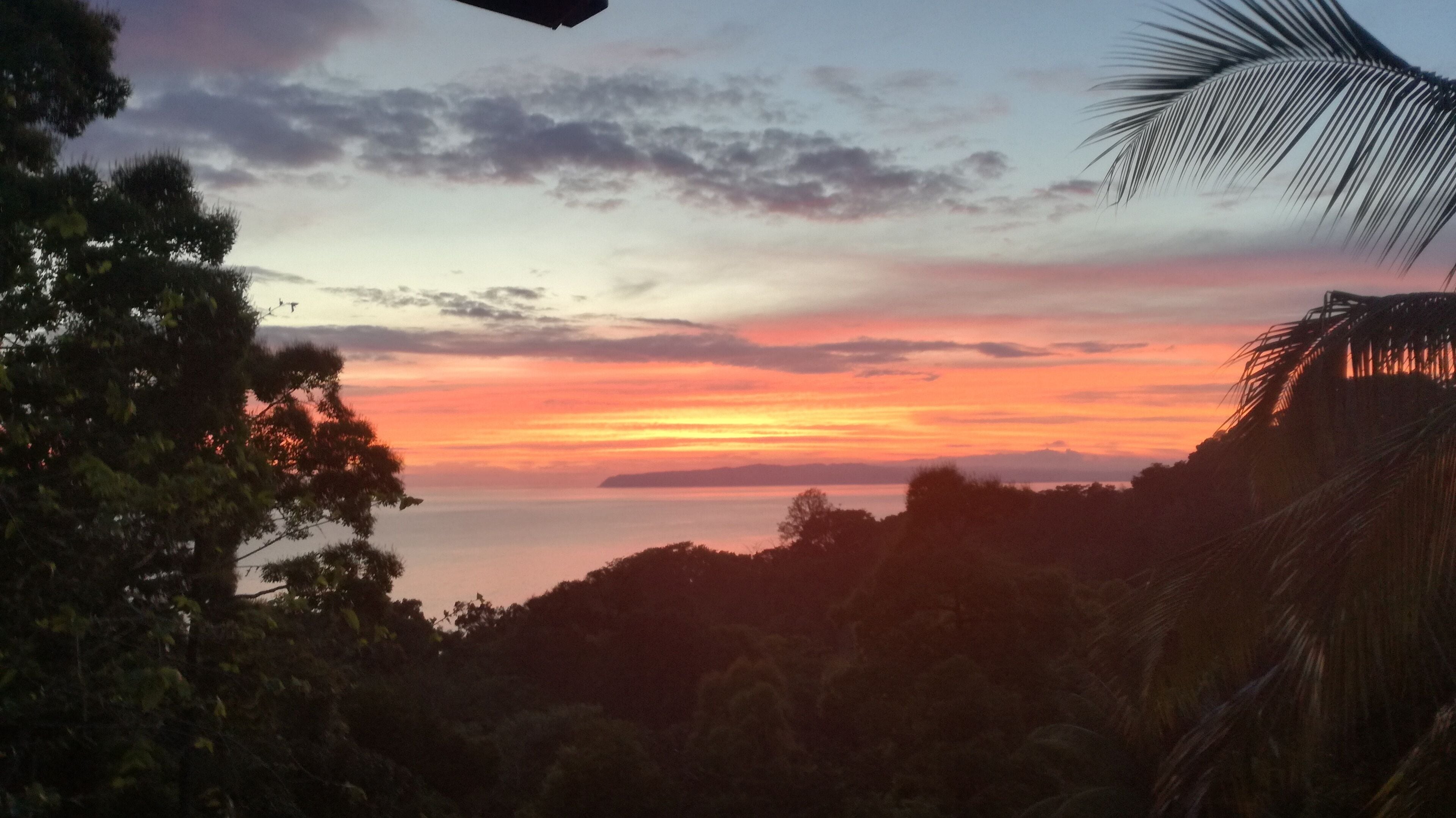 A sunset over a coastal landscape with trees and a palm tree in the foreground.