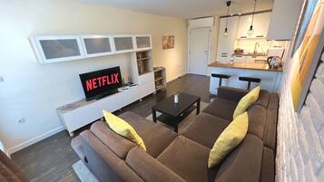 Smart TV, Netflix, books, streaming services