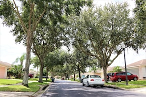 Stroll through a serene, tree-lined street in a peaceful neighborhood.