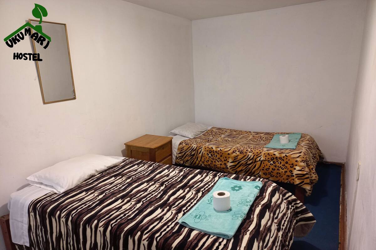 Double Room, 2 Twin Beds, Shared Bathroom | Blackout drapes, WiFi (free)