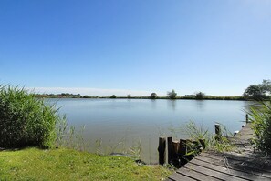 Image sans description, 3 de 23, bouton