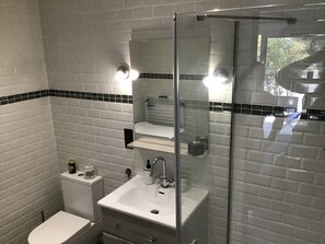 Chuveiro, secador de cabelo, sabonete, papel higiênico