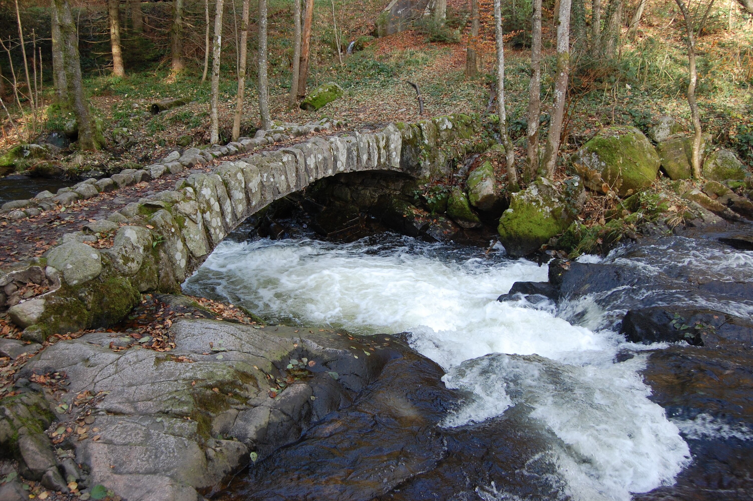 A stone bridge over a flowing river in a forested area.