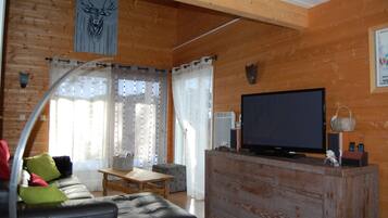 TV, DVD player, books, video library