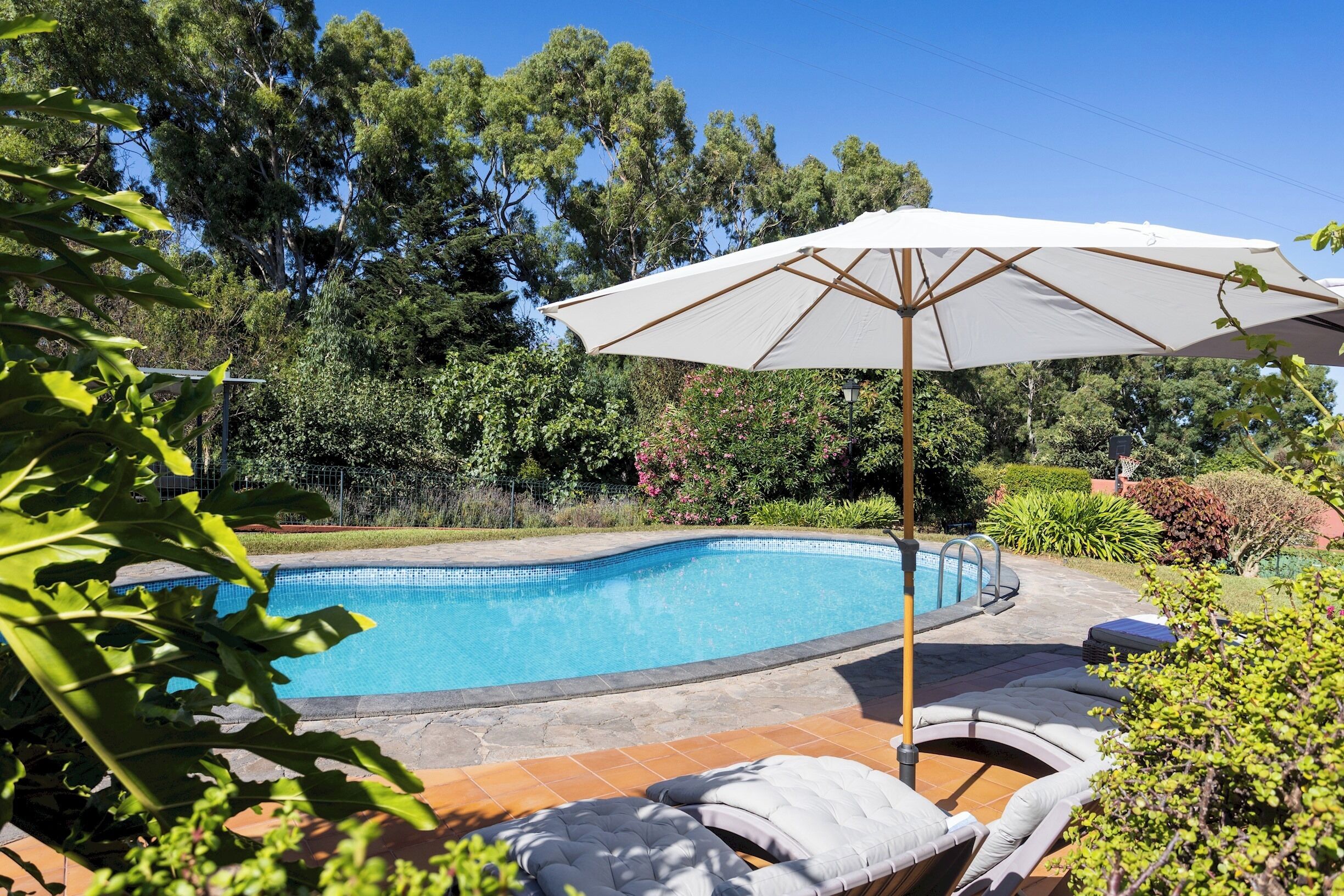 A swimming pool with a tiled edge, surrounded by a garden with various plants and a white umbrella.