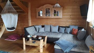 Fernseher, Kamin, DVD-Player, Bücher