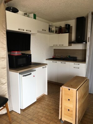 Fridge, microwave, oven, stovetop - For rent fully equipped studio with large terrace, 4-legged friends welcome (Ancelle)
