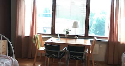 Stuido LIU Linköping city