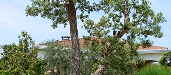 Holiday house La civetta Rodonisa