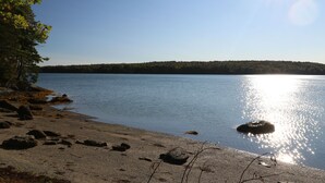 A beach with a clear view of the lake and forest in the background. - Hobby Horse - Rustic Maine Cabin, Ocean Access 22 miles from Acadia Nat'l Park (Surry)