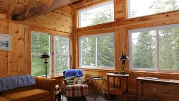 TV, DVD player, books