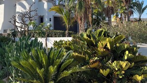 Una casa moderna con facciata bianca, un balcone e piante tropicali circostanti.