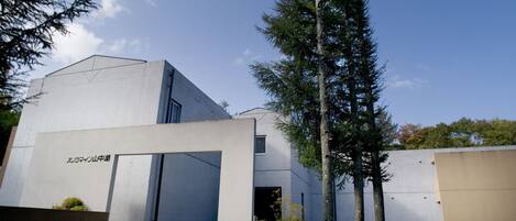 A modern building with a flat roof, a large entrance, and a tall tree in front.