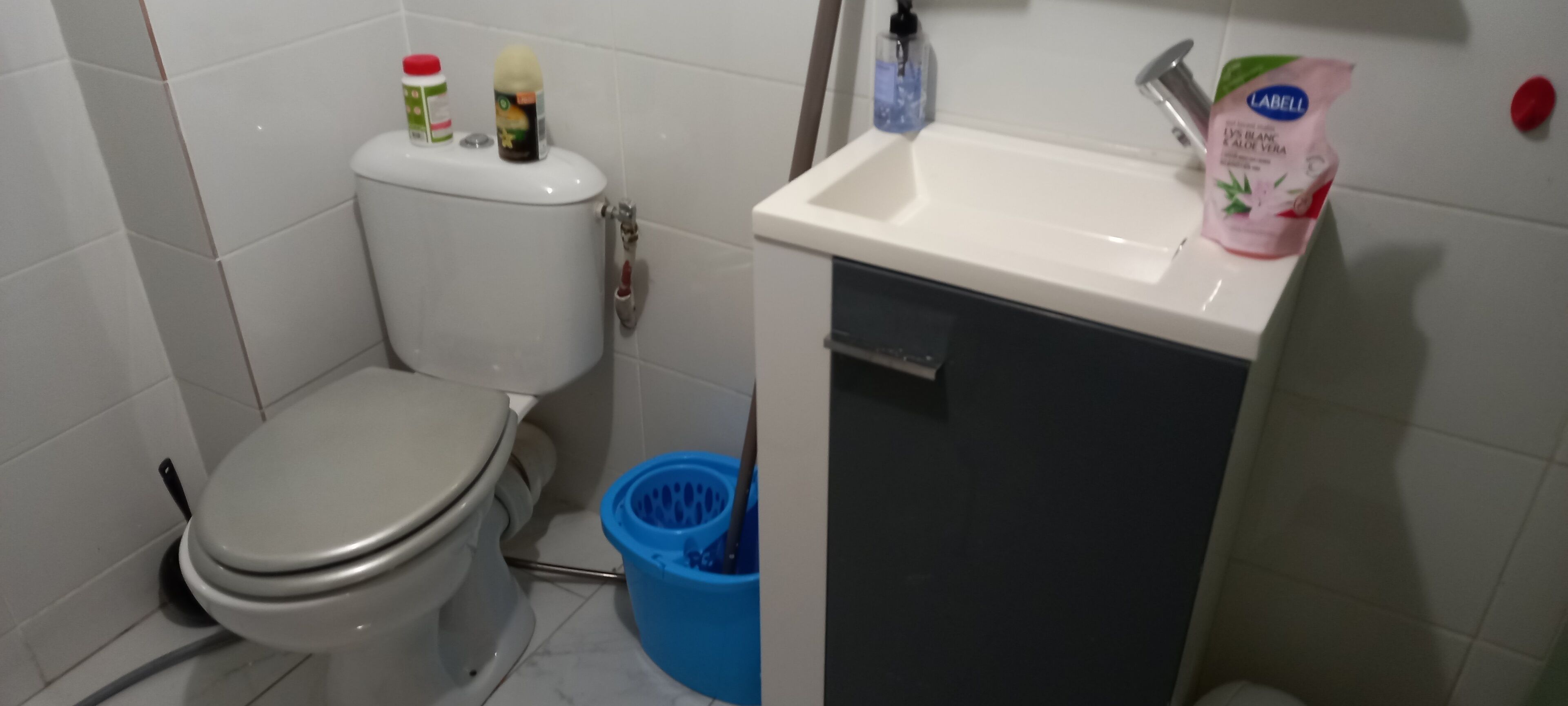 Une petite salle de bain avec des toilettes, un lavabo et une poubelle.