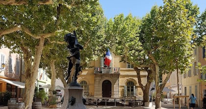 COLLOBRIERES - MAS IN THE MIDDLE VINEYARDS