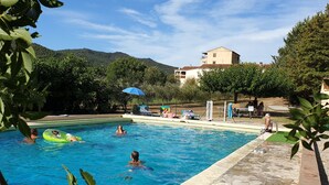 Ein Schwimmbecken mit klarem, blauem Wasser, umgeben von Steinfliesen und Grünpflanzen.
