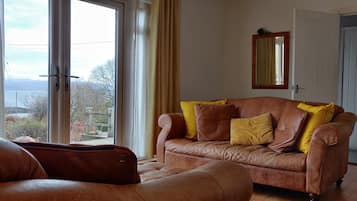 Smart TV, lareira, livros